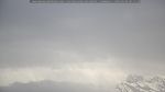 webcam-25-05-03_08-13.jpg