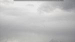 webcam-25-05-04_09-29.jpg