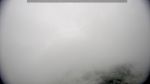 webcam-25-05-05_10-59.jpg
