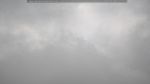 webcam-25-05-08_12-11.jpg