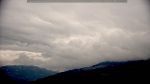 webcam-25-05-08_14-11.jpg