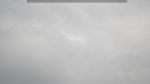 webcam-25-05-08_14-17.jpg