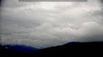 webcam-25-05-08_15-29.jpg
