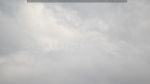 webcam-25-05-09_14-25.jpg