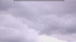 webcam-25-05-12_06-11.jpg