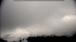 webcam-25-05-12_08-11.jpg