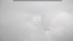 webcam-25-05-12_11-05.jpg