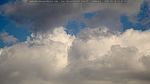 webcam-25-05-16_15-31.jpg
