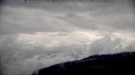 webcam-25-05-21_11-22.jpg