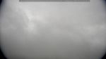 webcam-25-05-22_08-48.jpg