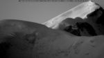 webcam-25-05-24_04-50.jpg