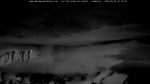webcam-25-05-25_22-20.jpg