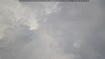 webcam-25-06-01_13-56.jpg