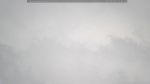 webcam-25-06-03_13-55.jpg