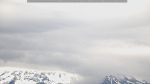webcam-25-06-05_11-39.jpg