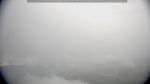 webcam-25-06-07_07-49.jpg