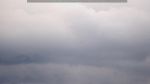 webcam-25-06-07_20-55.jpg
