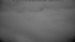 webcam-25-06-08_05-04.jpg