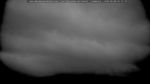 webcam-25-06-08_05-15.jpg