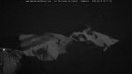webcam-25-06-10_03-11.jpg