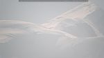 webcam-25-06-10_10-14.jpg