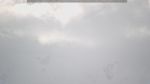 webcam-25-06-13_09-27.jpg