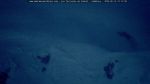 webcam-25-06-14_22-12.jpg