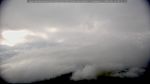 webcam-25-06-16_08-31.jpg