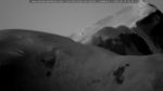 webcam-25-06-18_04-34.jpg