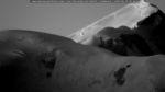 webcam-25-06-19_04-40.jpg