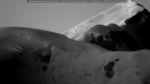 webcam-25-06-20_04-40.jpg