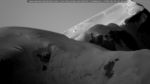 webcam-25-06-22_04-50.jpg