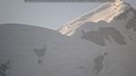 webcam-25-06-25_06-52.jpg