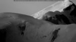 webcam-25-07-02_04-42.jpg