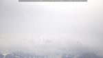 webcam-25-07-06_14-46.jpg