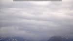 webcam-25-07-06_16-34.jpg