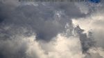webcam-25-07-07_13-44.jpg