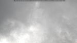 webcam-25-07-08_10-48.jpg