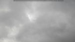 webcam-25-07-08_10-54.jpg