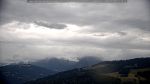 webcam-25-07-08_16-18.jpg