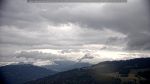 webcam-25-07-08_16-48.jpg