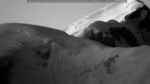 webcam-25-07-10_05-00.jpg