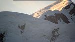 webcam-25-07-12_06-16.jpg