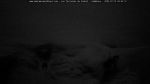 webcam-25-07-13_04-42.jpg