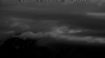 webcam-25-07-15_03-50.jpg