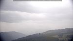 webcam-25-07-19_12-45.jpg