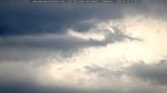 webcam-25-07-20_15-09.jpg