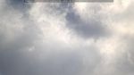 webcam-25-07-21_11-29.jpg