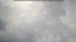 webcam-25-07-21_14-11.jpg