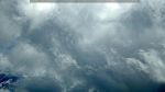 webcam-25-07-22_11-51.jpg